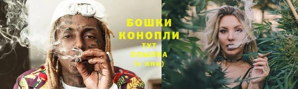 ПСИЛОЦИБИНОВЫЕ ГРИБЫ Арсеньев