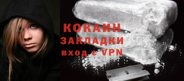 ПСИЛОЦИБИНОВЫЕ ГРИБЫ Арсеньев
