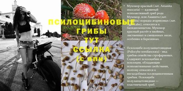 дживик Армянск