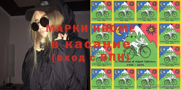 ПСИЛОЦИБИНОВЫЕ ГРИБЫ Арсеньев