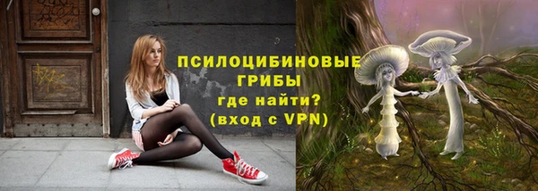 ПСИЛОЦИБИНОВЫЕ ГРИБЫ Арсеньев