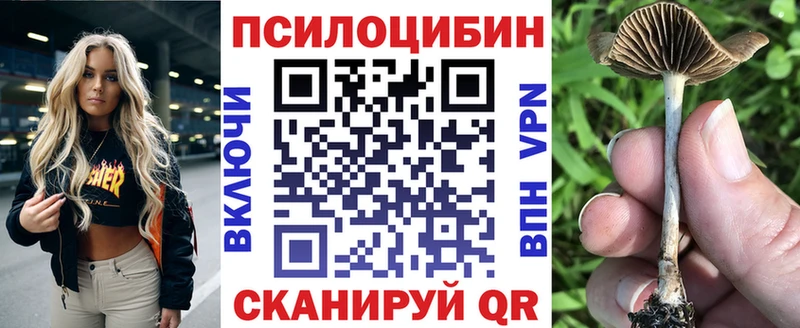 Галлюциногенные грибы прущие грибы  Белозерск 